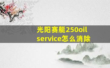 光阳赛艇250oil service怎么消除